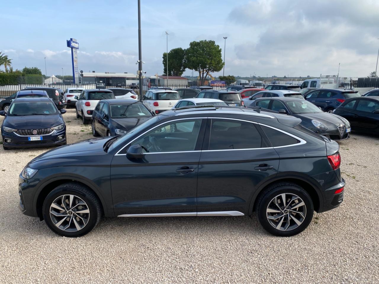 Audi Q5 SPB 40 TDI quattro S tronic Business Advanced IVA ESPOSTA