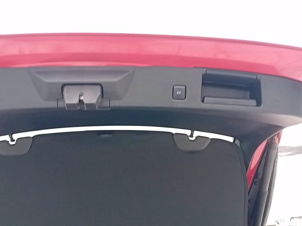 FORD Kuga phev ST-Line X 2wd Automatica del 2023