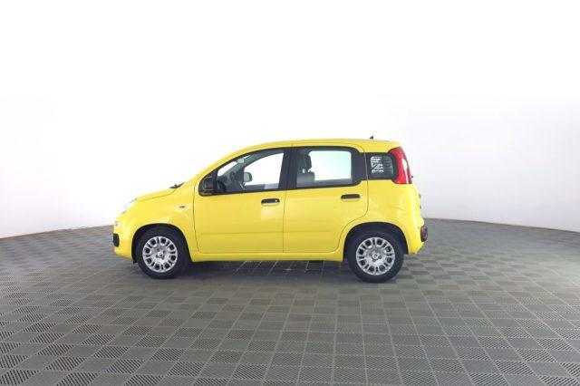 FIAT Panda Pandina 1.0 FireFly 65 CV Hybrid Pop
