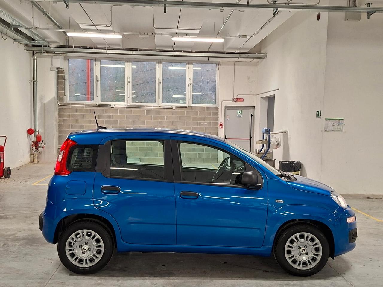 Fiat Panda 1.0 FireFly Hybrid 70CV Icon Km.0 (756)