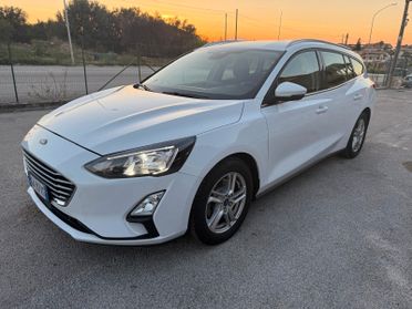 Ford Focus 1.5 EcoBlue 120 CV SW Business 2020