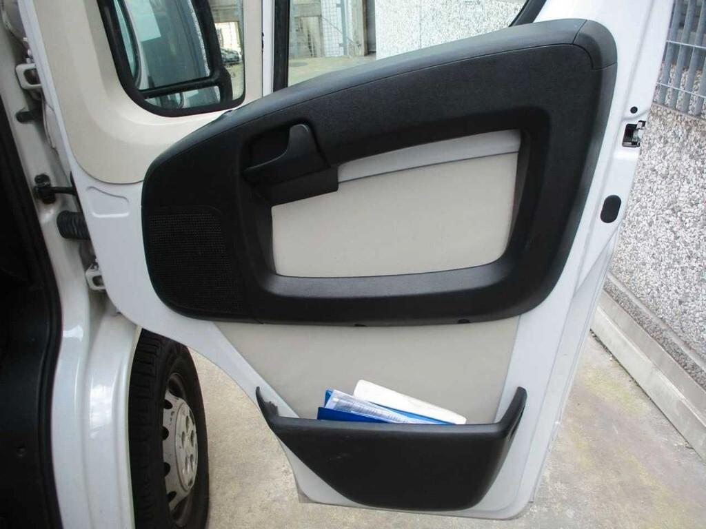 fiat ducato professional