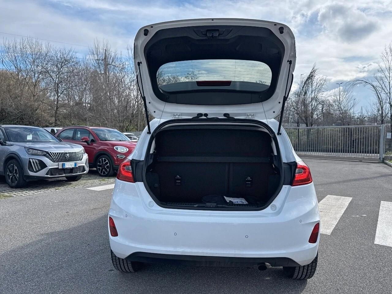 Ford Fiesta 1.1 85 CV 5 porte Titanium
