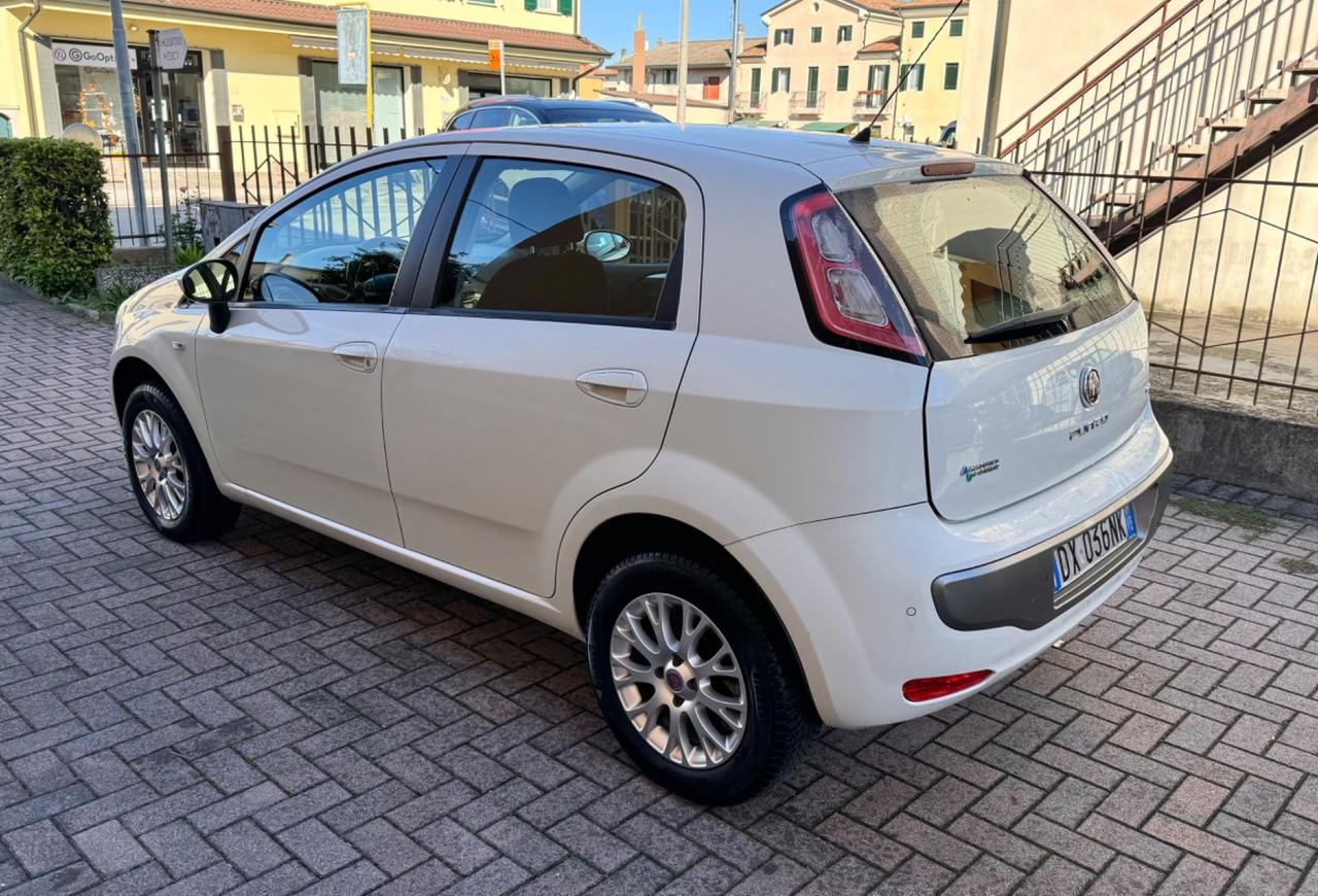 Fiat Punto Evo a Metano Ok Neopatentati