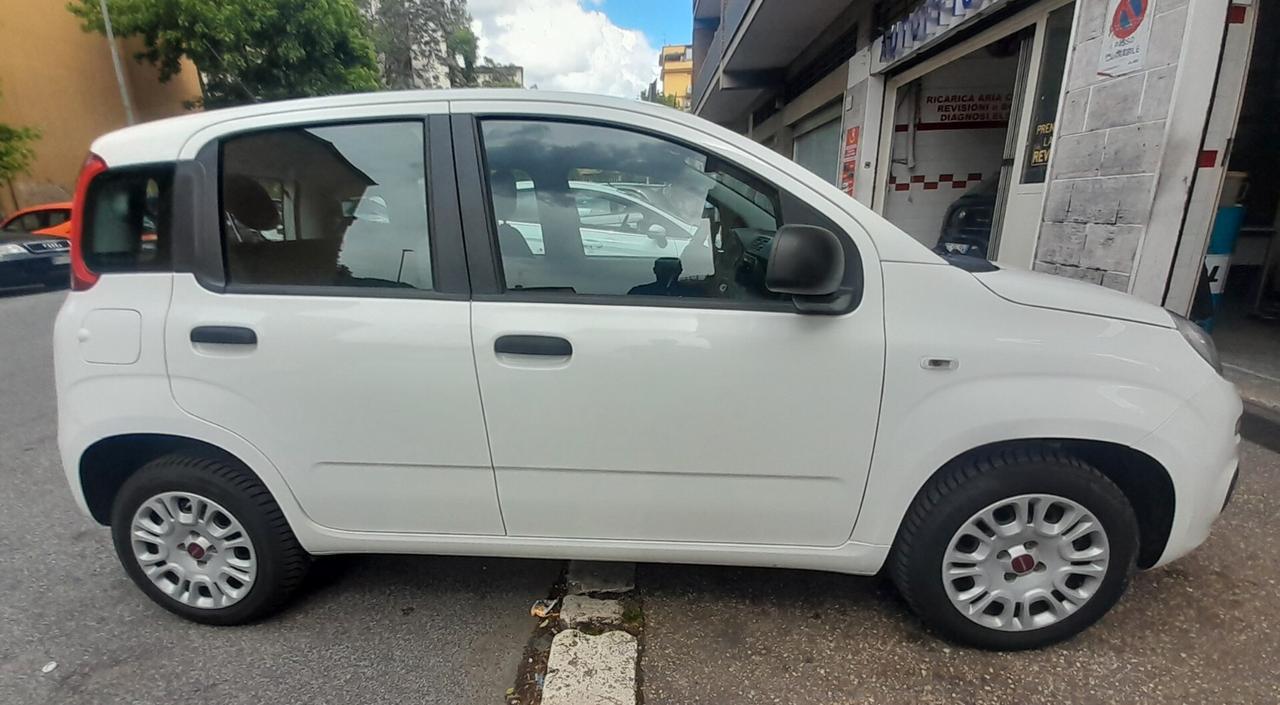 Fiat panda 1.2 CV69 euro6 Anno 2019 neopatentati permuta