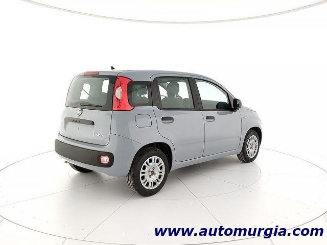 FIAT Panda 1.0 FireFly S&S Hybrid CON ROTTAMAZIONE