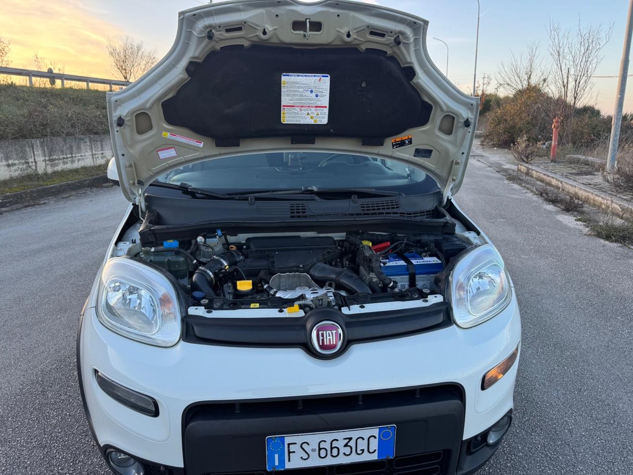 Fiat Panda Cross 1.3 MJT 95 CV S&S 4x4