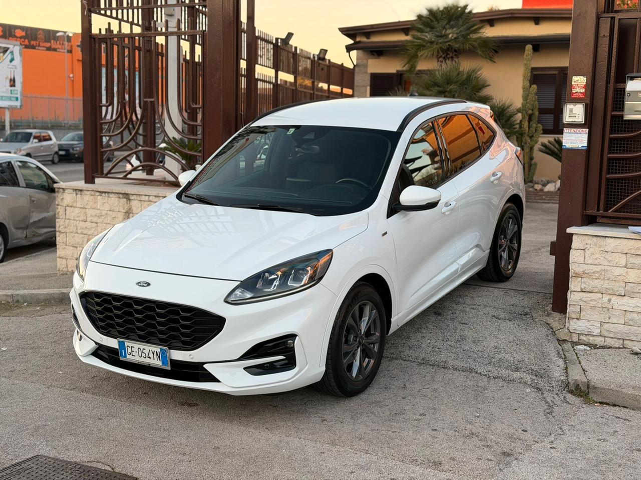 Ford Kuga 1.5 EcoBlue 120 CV 2WD ST-Line X automatica