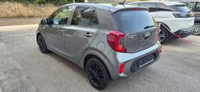KIA Picanto 1.2 12V 5 porte Vision