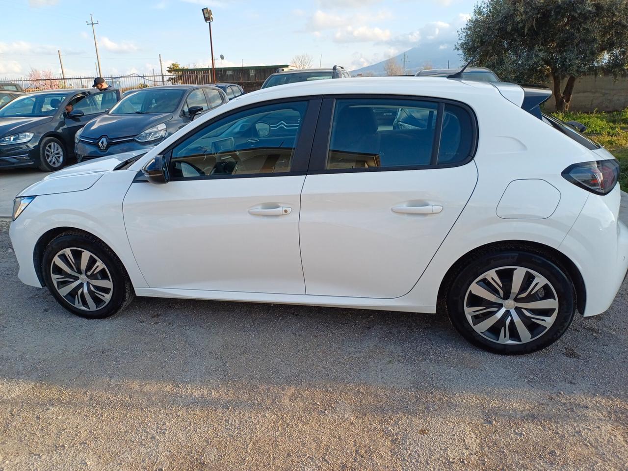 Peugeot 208 BlueHDi 100 Stop&Start 5 porte Active Pack