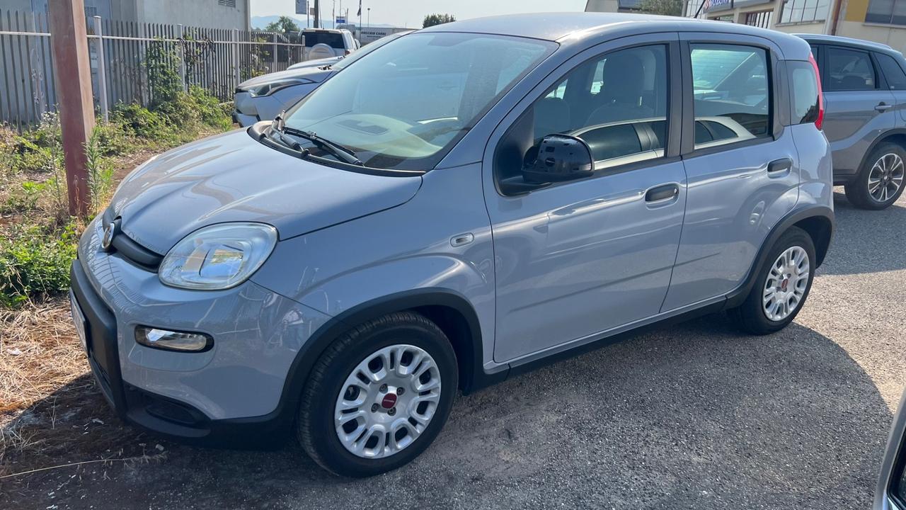Fiat Panda 1.0 FireFly S&S Hybrid