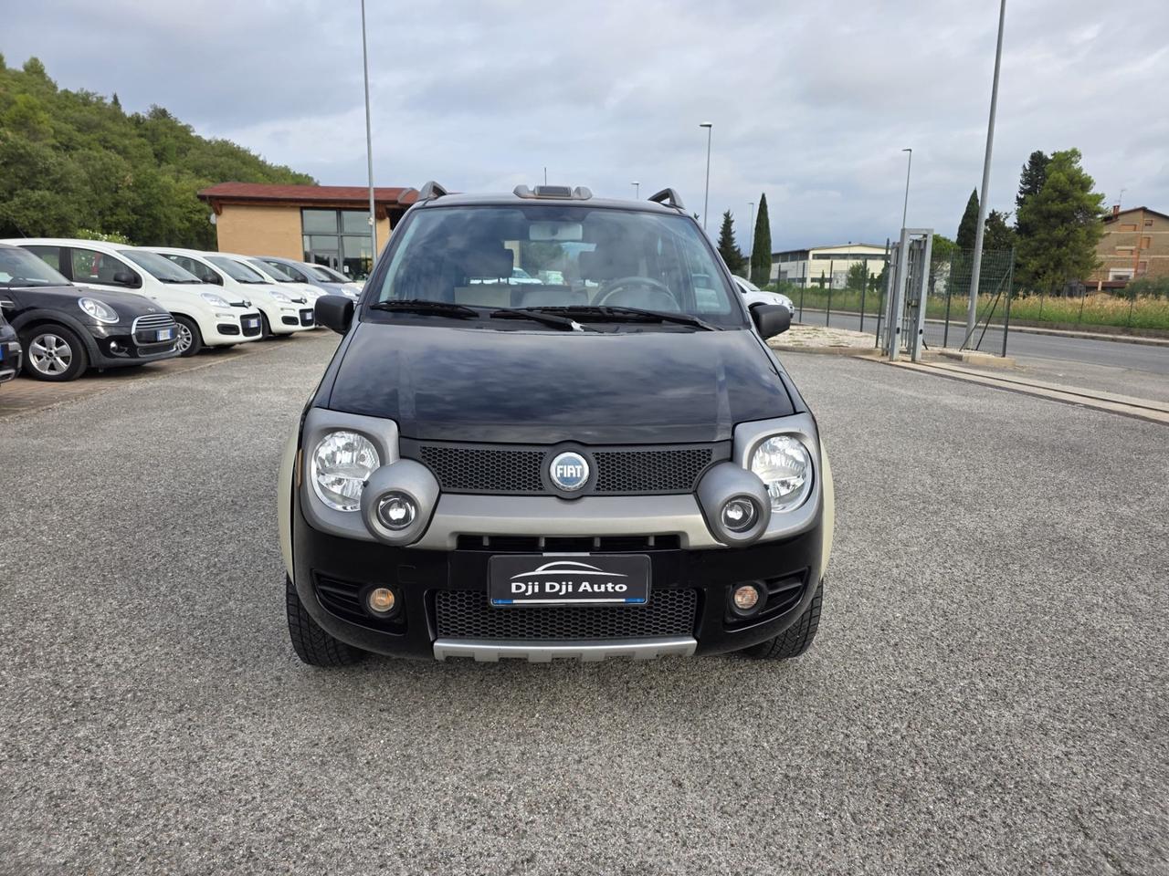 Fiat Panda 1.3 MJT 16V 4x4 Monster