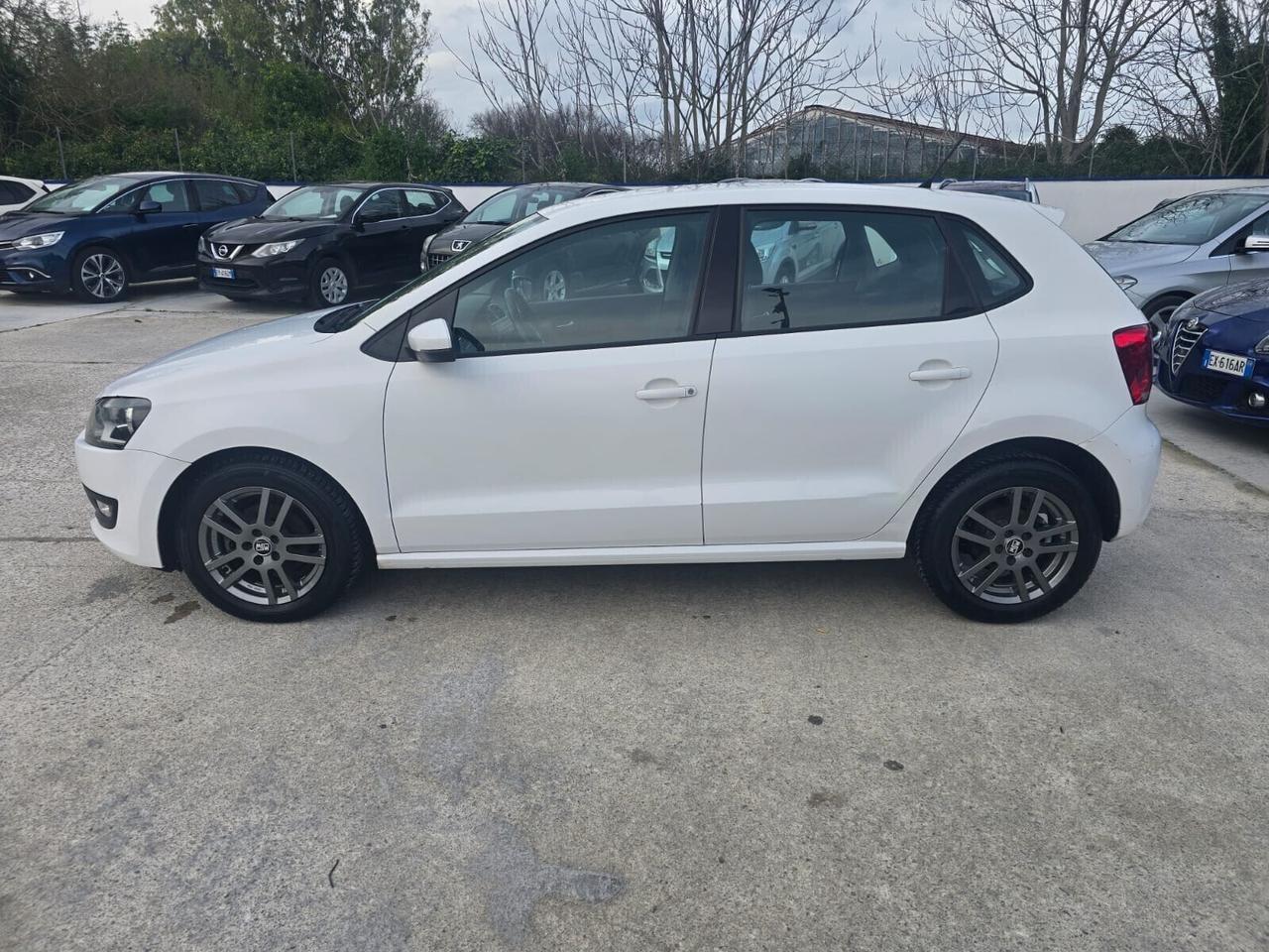 Volkswagen Polo 1.6 TDI 90CV DPF 5 porte Comfortli