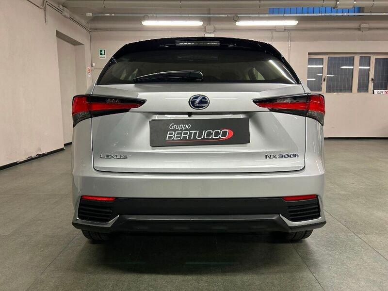 Lexus NX Hybrid 4WD Business