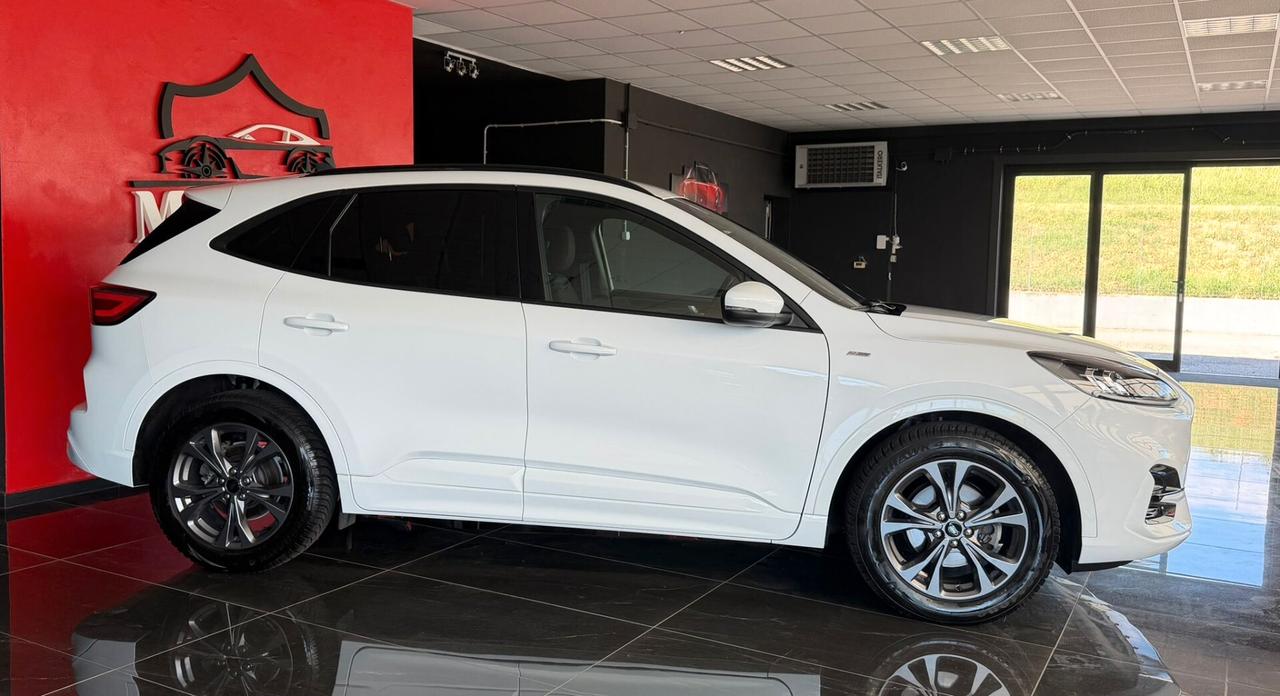 Ford Kuga 1.5 EcoBlue 120 CV aut. 2WD ST-Line Design