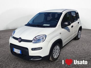 FIAT Panda New Serie 7 1.0 70cv HybridPanda