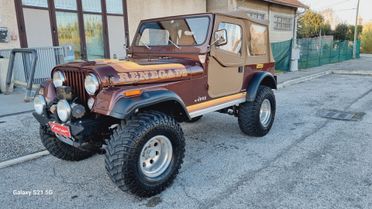 CJ7 RENEGADE V8 AMC 304