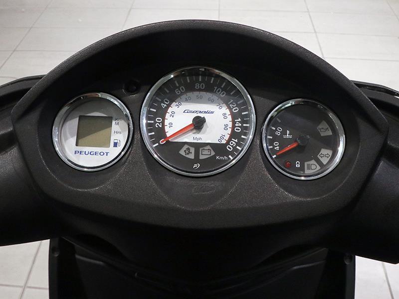 Peugeot Geopolis 300