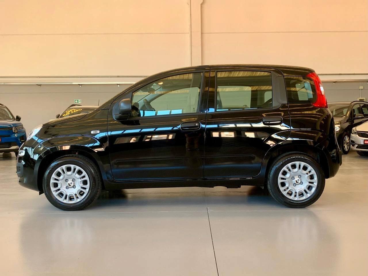 Fiat Panda 1.0 FireFly S&S Hybrid *PREZZO PROMO*