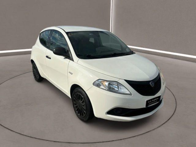 LANCIA Ypsilon 3ª serie - 1.2 69 CV 5 porte GPL Ecochic Ele