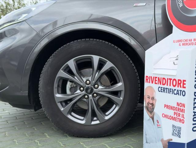 FORD Kuga 1.5 EcoBlue 120 CV aut. 2WD ST-Line X