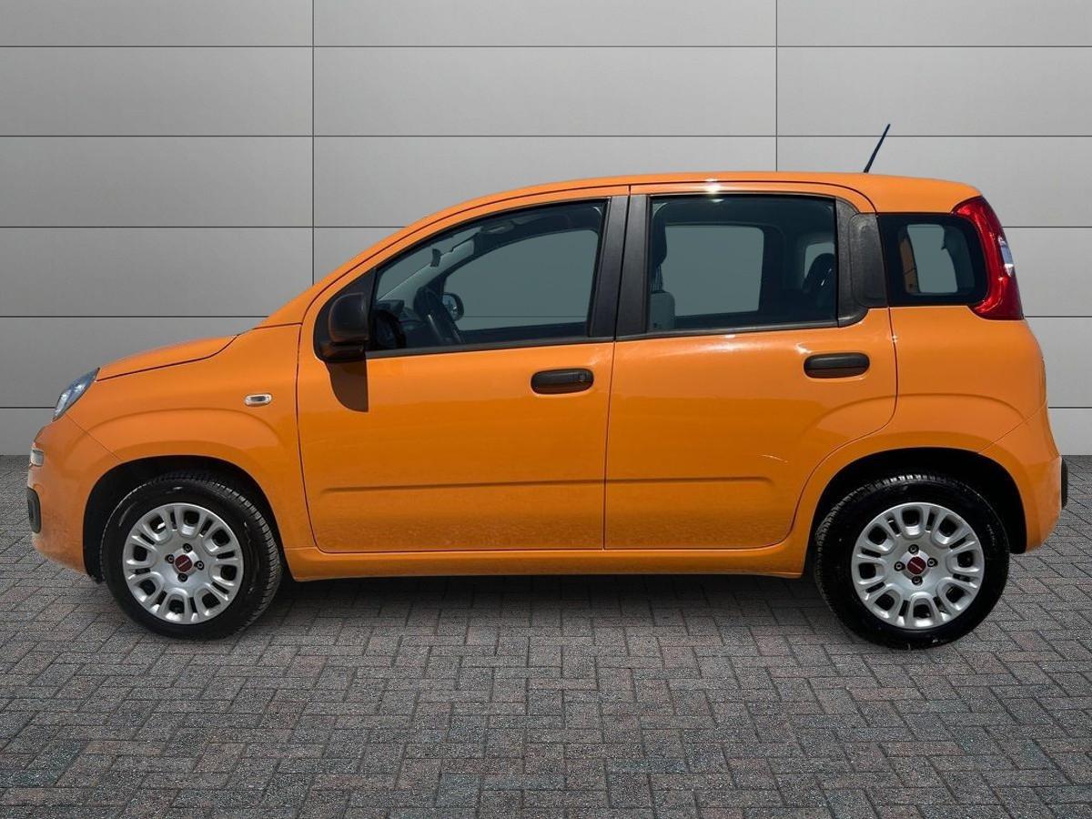 FIAT Panda III 2016 - Panda 1.2 Easy s&s 69cv my19
