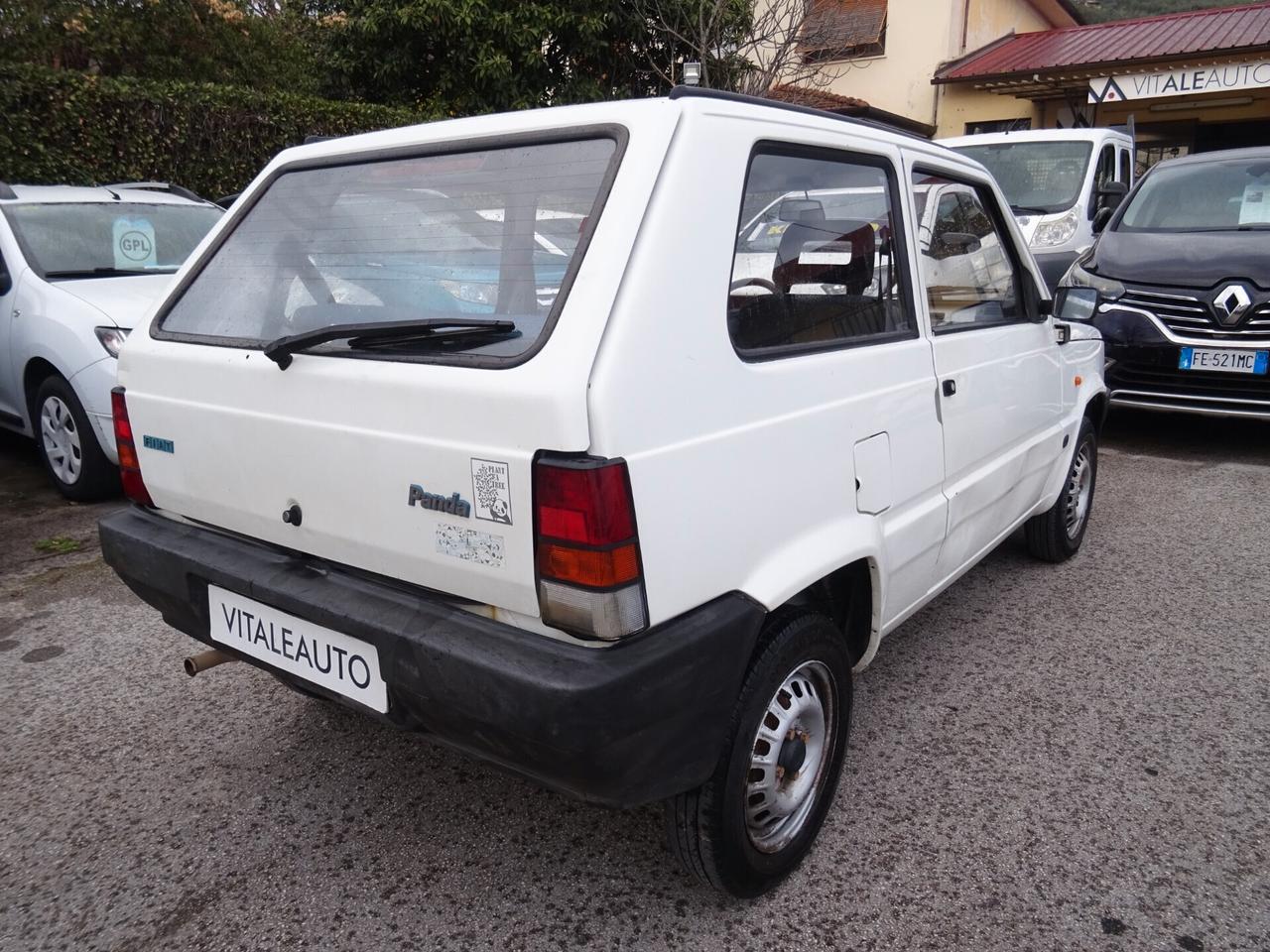 Fiat Panda 1100 i.e. cat Young