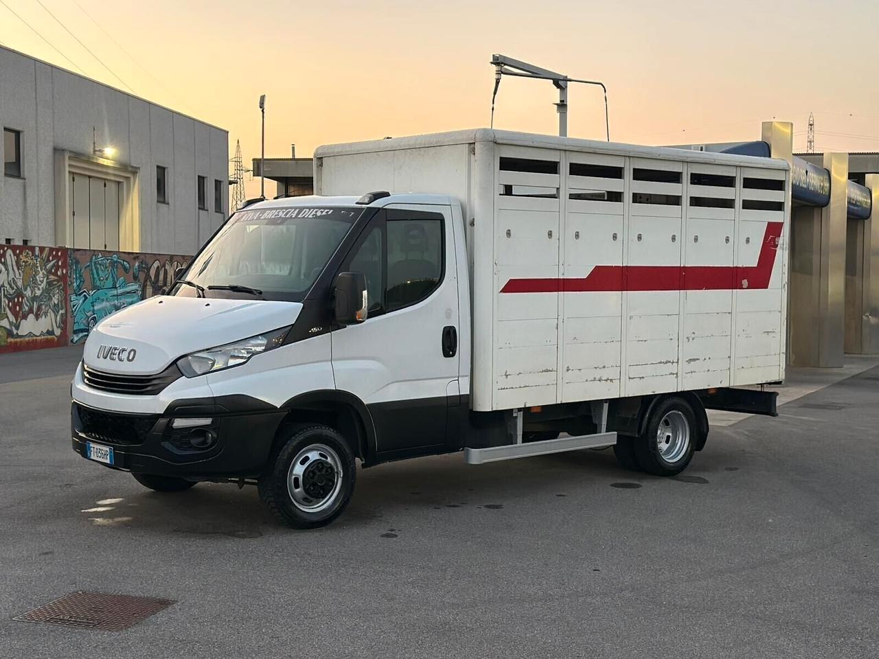 Iveco Daily modello 35c15 anno 2019