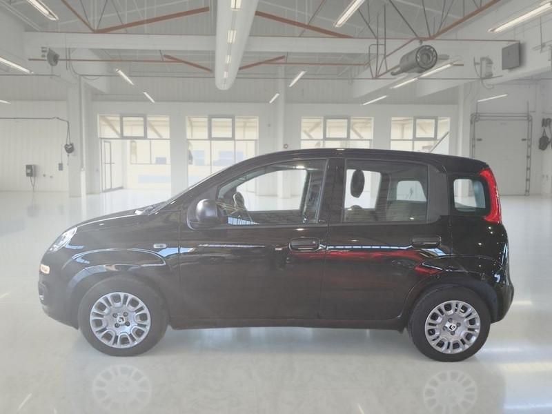 FIAT PANDA 1.0 FireFly 70cv S/S Hybrid 5 PORTE