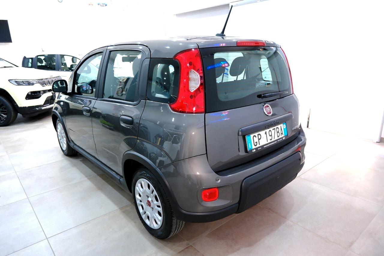 Fiat Panda Hybrid 1000 70cv City Life