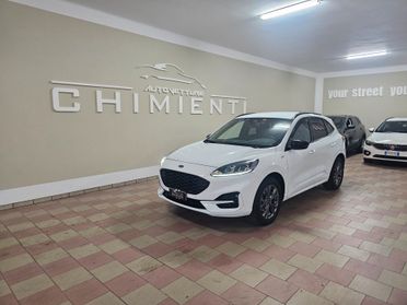 Ford Kuga 2.0 EcoBlue 120 CV aut. AWD ST-Line