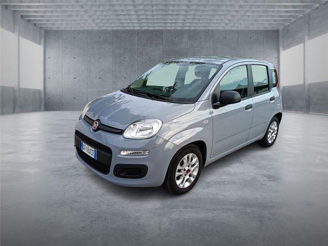 FIAT Panda 3ª serie 1.0 FireFly S&S Hybrid