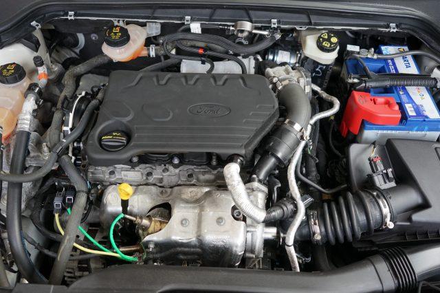 FORD Focus 1.5 EcoBlue 120 CV automatico 5p. ST-Line Co-Pilot