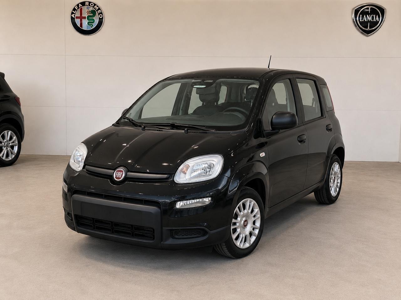 FIAT Pandina III 2024 - Pandina 1.0 firefly hybrid Icon s&s 65cv 5p.ti