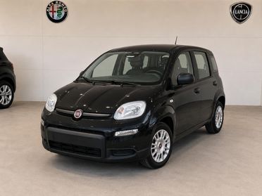 FIAT Pandina III 2024 - Pandina 1.0 firefly hybrid Icon s&s 65cv 5p.ti