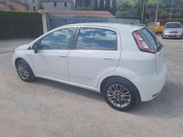 FIAT Punto 1.2 8V 5 porte Lounge