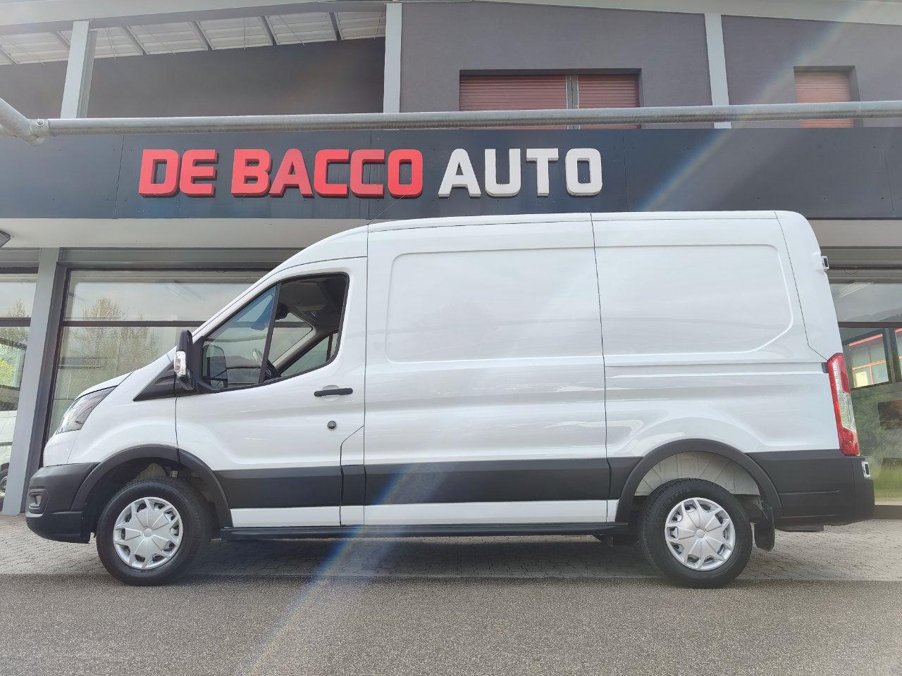 Ford Transit 290 2.0TDCi EcoBlue 130CV PM-TM