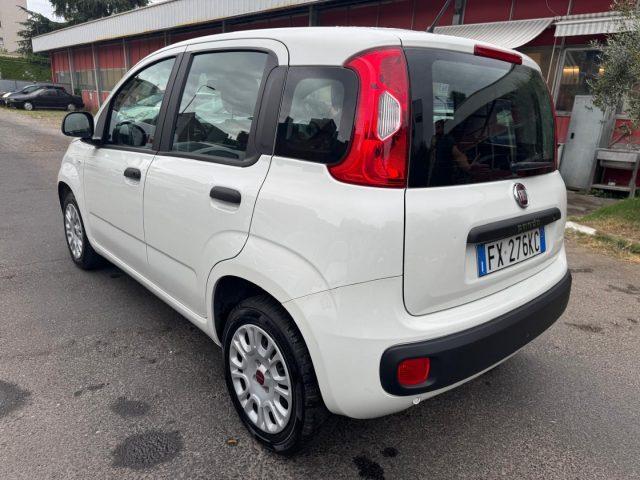 FIAT Panda 1.2 Easy (AUTOCARRO N1 4 POSTI)