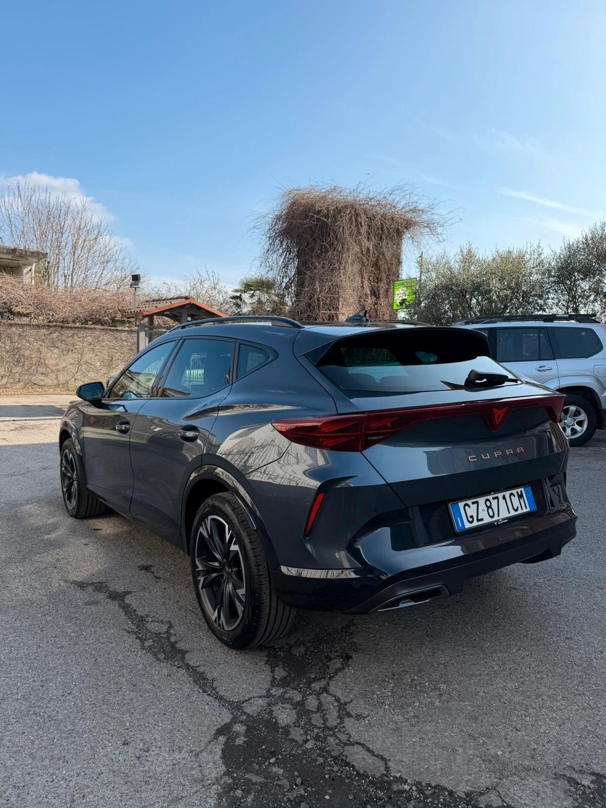 Cupra Formentor 2.0 TDI DSG