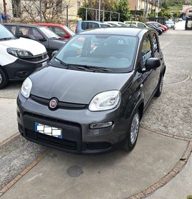 Panda 1.0 Hybrid KM17000 DIC 2022 GARANZIA PERMUTE