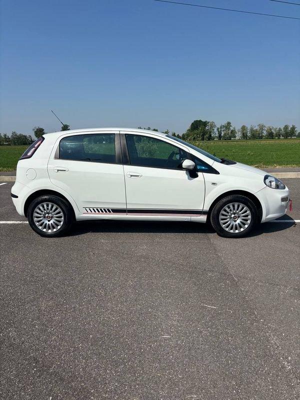 FIAT Punto NEOP. 1.4 8V 5 porte Natural Power Lounge