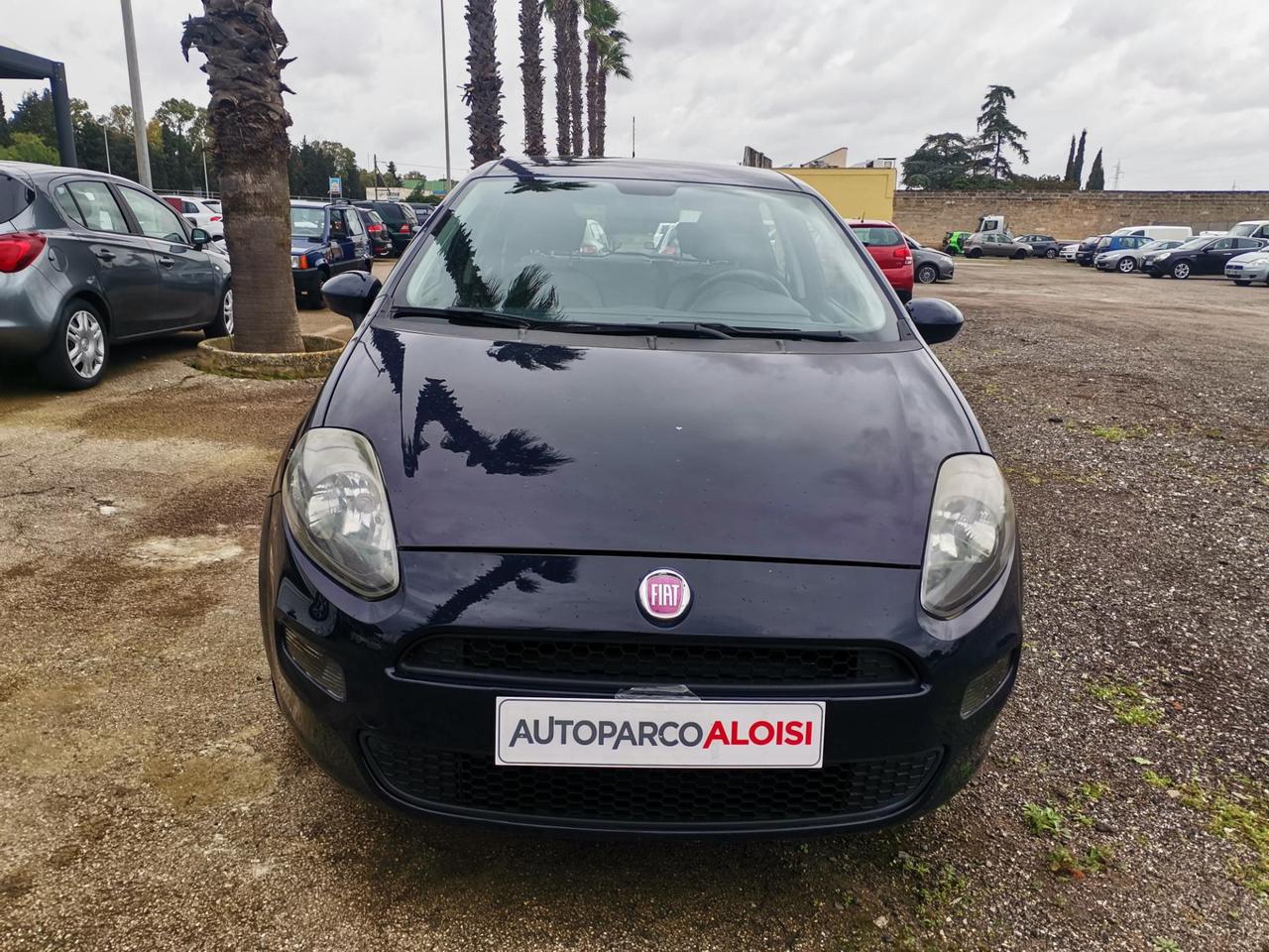 Fiat Punto 5 Porte Punto 5p 1.4 Easy s&s