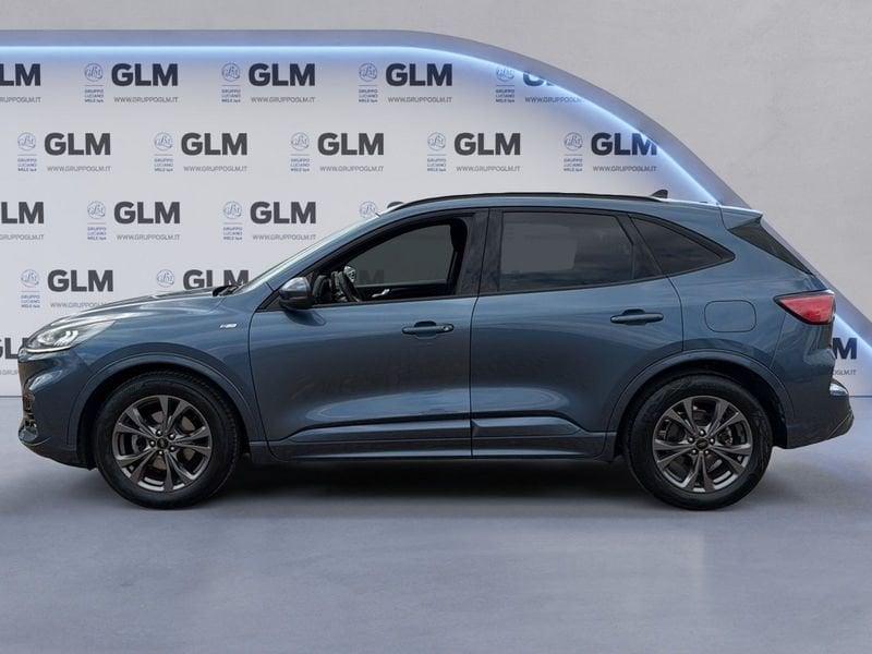 Ford Kuga Kuga 1.5 TDCI 120 CV S&S 2WD ST-Line