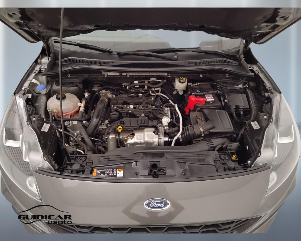FORD Kuga III 2020 - Kuga 1.5 ecoblue ST-Line 2wd 120cv