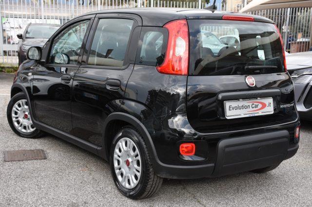 FIAT Panda 1.0 FireFly S&S Hybrid **5 POSTI**