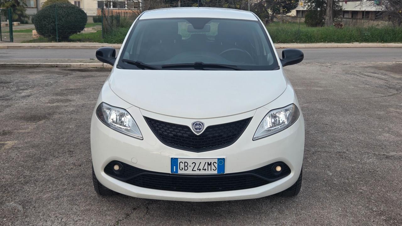 Lancia Ypsilon 1.2 69 CV 5 porte GPL Ecochic Platinum