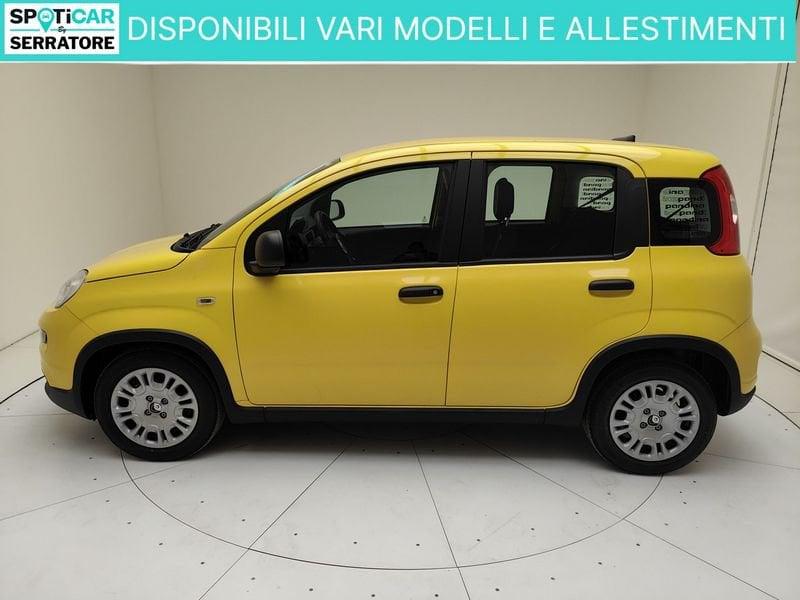 FIAT Panda III 2024 1.0 firefly hybrid s&s 70cv