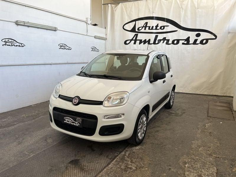FIAT Panda Panda 1.2 tua da 149,00 al mese