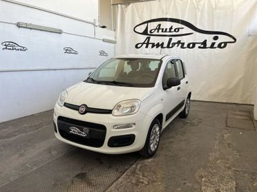 FIAT Panda Panda 1.2 tua da 149,00 al mese