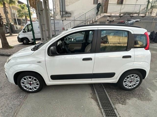 Fiat Panda 1.2 EasyPower Lounge 12/2014 GPL CASA MADRE REVISIONATO